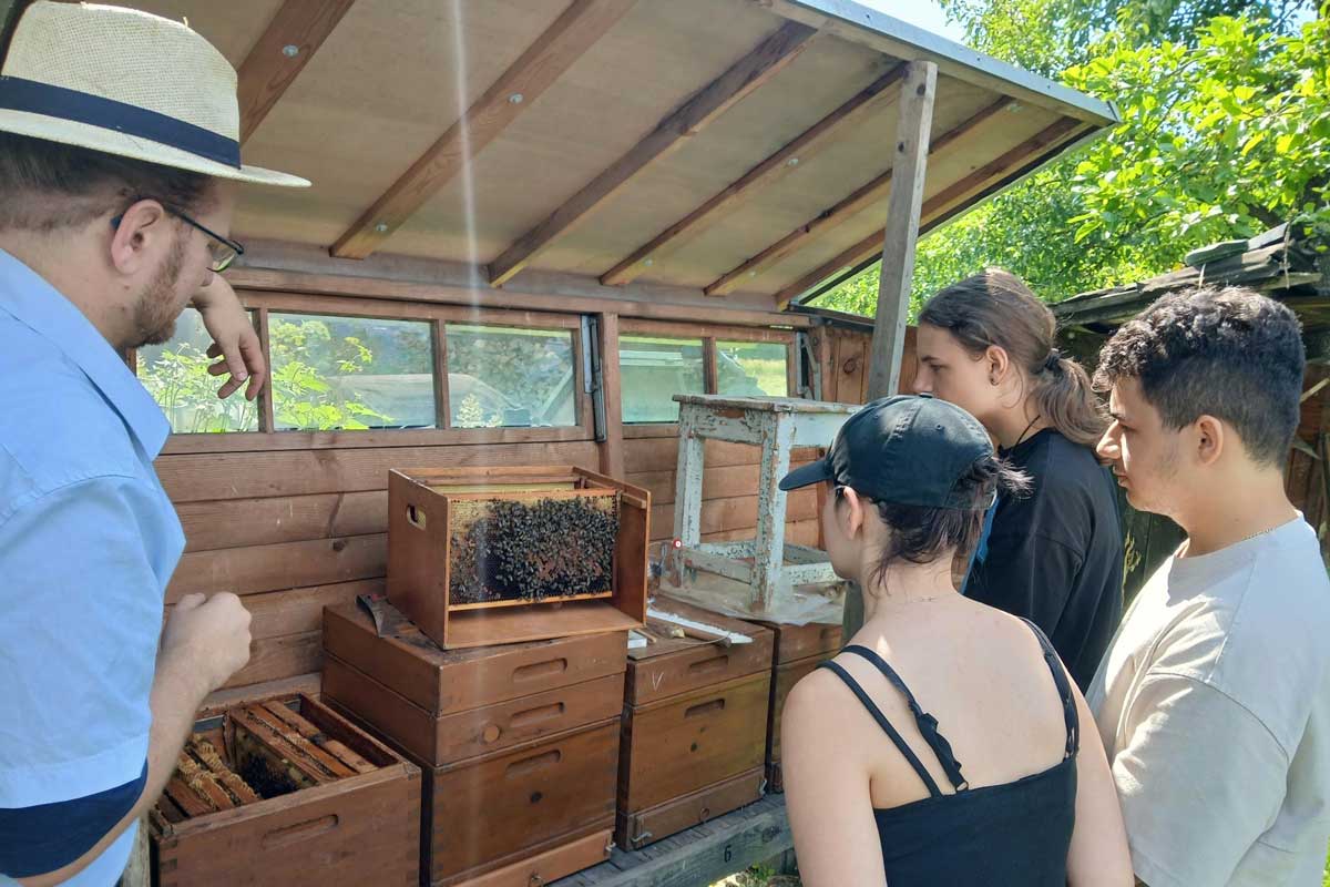 Schüler und Imker vor einem Bienenstock